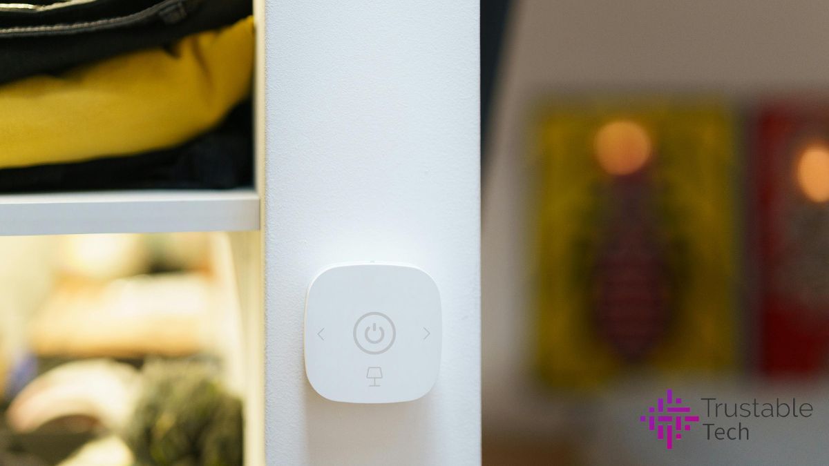 Adjust Your Thermostat with Voice Assistance